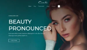 Website hero image displaying an eye-catching beauty design. A woman's captivating gaze complements the text "A WHOLE NEW LOOK, BEAUTY PRONOUNCED". The site features navigation including Home, Shop, and a shopping bag icon.