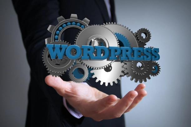 wordpress -ووردبريس